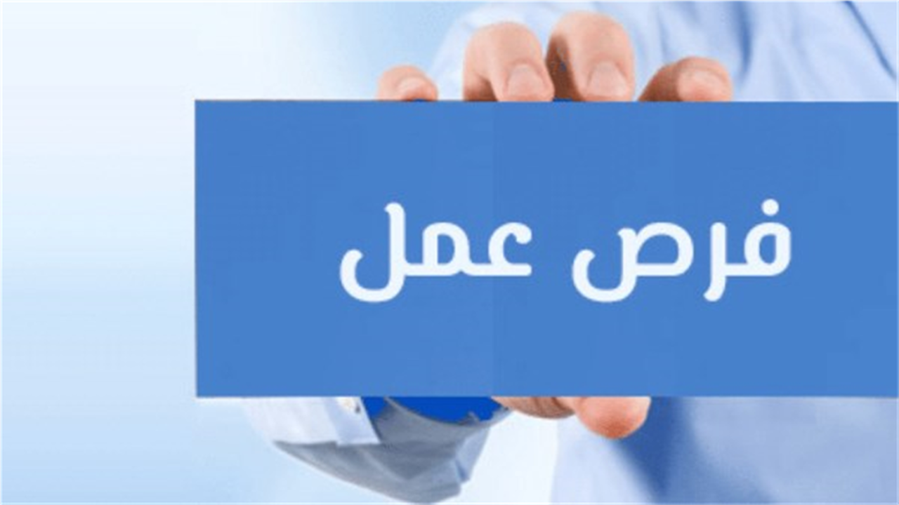وزارة الشباب والرياضة تطرح فرص عمل برواتب مجزية وتأمينات للباحثين عن وظائف